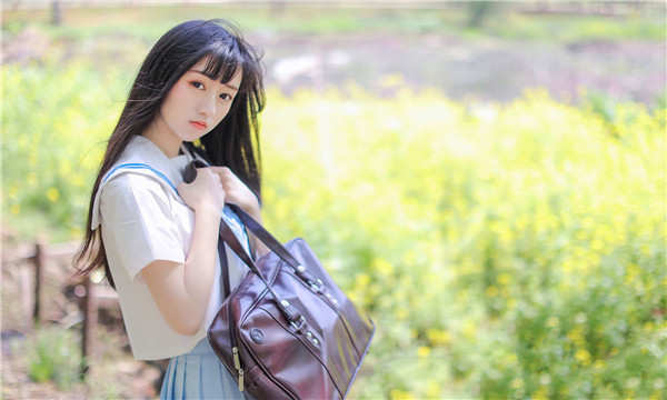 船山代怀生子什么意思｜代怀是什么意思？